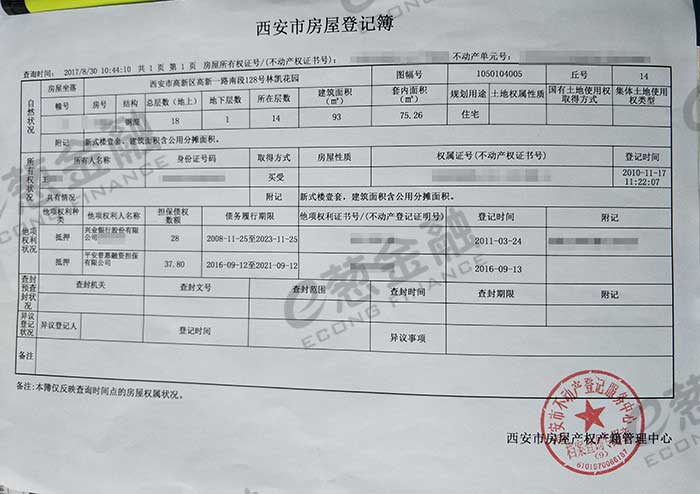 其他借款说明